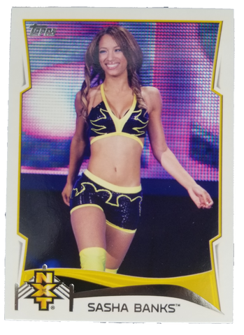 Sasha Banks 2015 Topps NXT Prospects Card #17