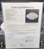Signed Football by 11 NFL Players