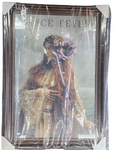Florence Welch Signed Florence + The Machine Dance Fever 23.5x35.5 in Poster Framed