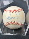 Javy Lopez Autographed Baseball