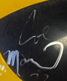 1995 MICHIGAN WOLVERINES TEAM SIGN REPLICA HELMET