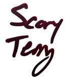 Terry McLaurin Signed Full Size Authentic Washington Football Team Helmet Inscribed “Scary Terry” Beckett COA