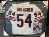 Brian Urlacher Signed Framed Jersey and Photo JSA CO