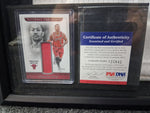 Derrick Rose Authentic Signed Chicago Bulls Adidas Jersey