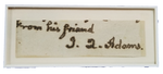 John Quincy Adams Autographed Cut Signature Card