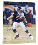 Brian Urlacher signed picture Reprint