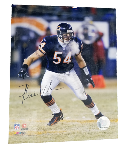 Brian Urlacher signed picture Reprint