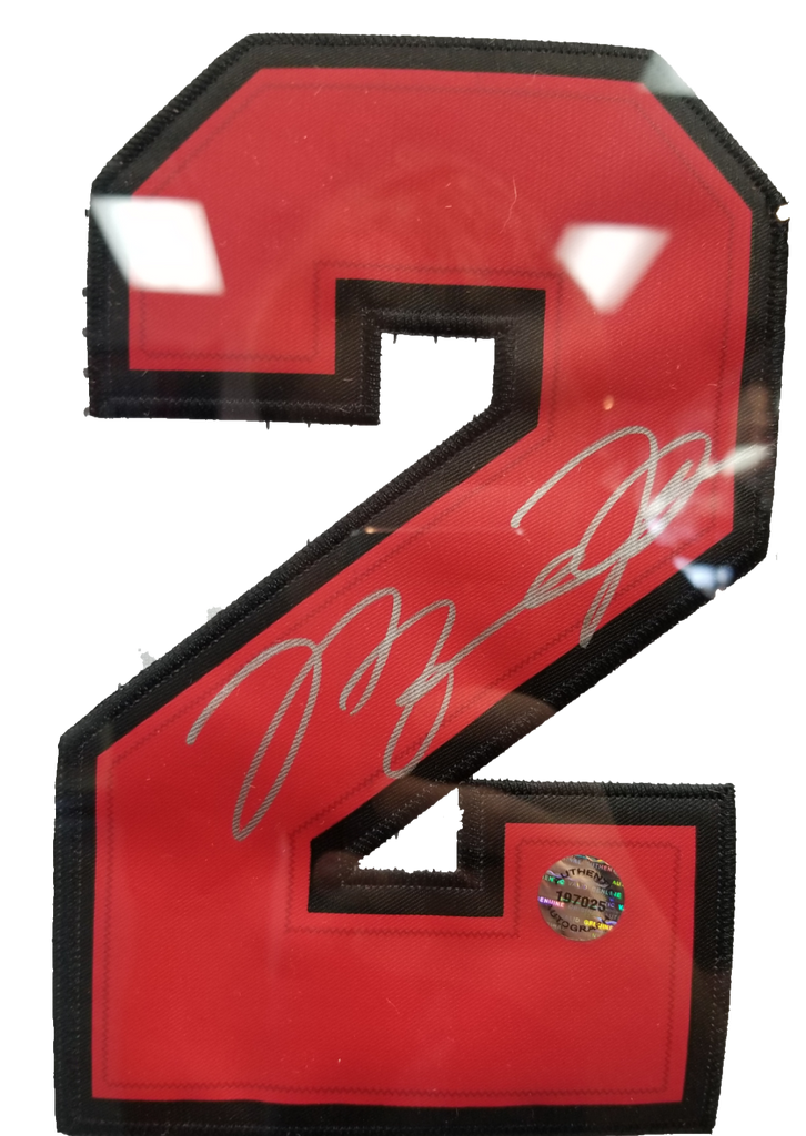 Michael Jordan Signed Bulls Jersey Framed – All In Autographs